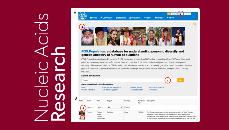 中國(guó)科學(xué)院上海營(yíng)養(yǎng)與健康研究院研究人員發(fā)布首個(gè)全球人群基因組多樣性和祖源信息數(shù)據(jù)庫(kù)