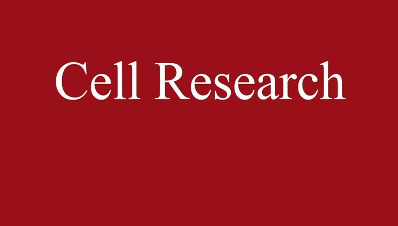 上海生科院(人口健康領(lǐng)域)科研人員合作開(kāi)發(fā)一種增強(qiáng)型基因組堿基編輯器
