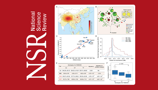 徐書華研究組構(gòu)建了藏族人群全基因組水平的適應(yīng)性遺傳變異圖譜