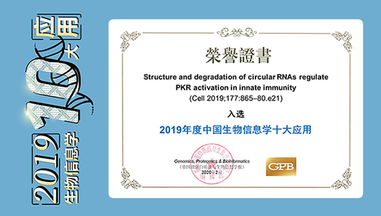 楊力研究組合作研究“環(huán)形RNA在天然免疫中的重要功能”入選2019年度“中國生物信息學(xué)十大應(yīng)用”