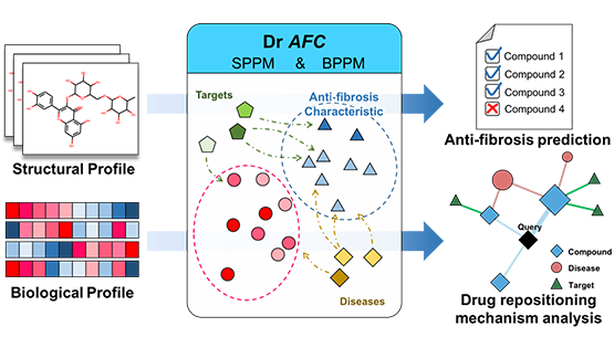 大數(shù)據(jù)中心合作發(fā)布基于化合物抗纖維化特征的藥物重定位平臺(tái)