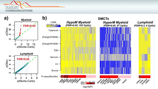 Andrew Teschendorff研究組和汪思佳研究組首次通過Meta分析闡述血液中細(xì)胞特異性的DNA甲基化改變