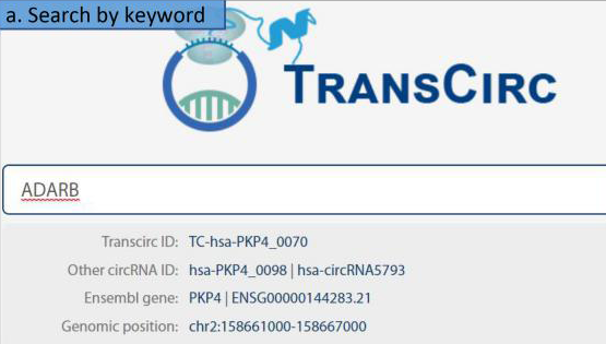 王澤峰研究組與生物醫(yī)學(xué)大數(shù)據(jù)中心合作在線發(fā)布可翻譯環(huán)形RNA數(shù)據(jù)庫