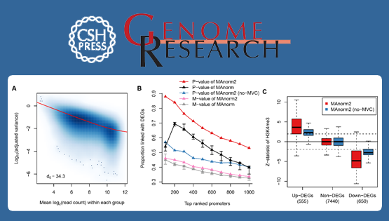 邵振研究組建立用于多樣本ChIP-seq數(shù)據(jù)分組定量比較的MAnorm2計(jì)算模型