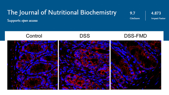 營養(yǎng)與健康所陳雁研究組發(fā)現(xiàn)改善炎癥性腸?。↖BD）的營養(yǎng)干預(yù)方法