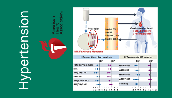 營養(yǎng)與健康所林旭、宗耕研究組在奶制品的脂質(zhì)組生物標(biāo)記物與心血管疾病風(fēng)險因素研究方面取得進展