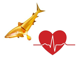 魚油食用的常見誤區(qū)