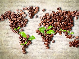 小身材大智慧——咖啡