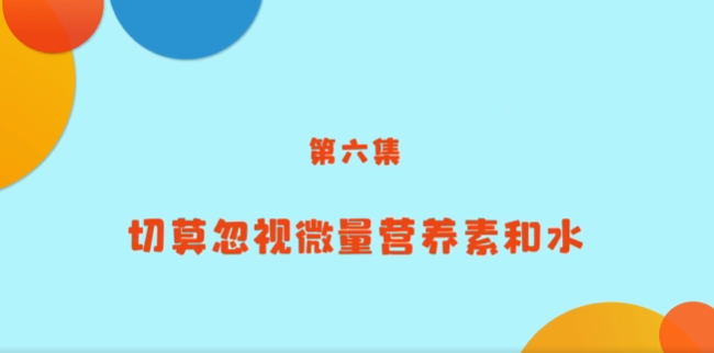 《小小營養(yǎng)師》科普課程——第六講<br/><br/>