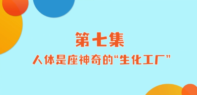 《小小營養(yǎng)師》科普課程——第七講