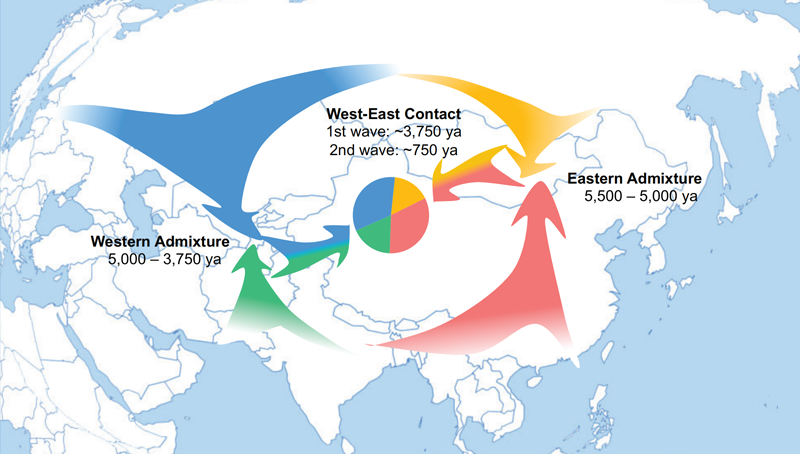 中國科學(xué)院上海營養(yǎng)與健康研究院研究人員解析新疆維吾爾族的遺傳祖源及基因交流歷史
