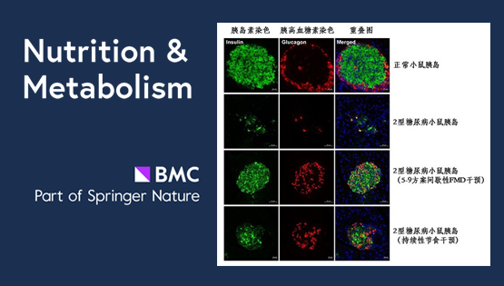 陳雁研究組揭秘間歇性節(jié)食和持續(xù)性節(jié)食對(duì)于控制糖尿病孰優(yōu)孰劣