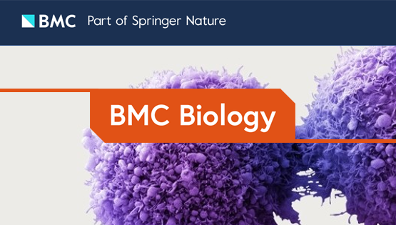 楊力研究組合作揭示轉(zhuǎn)錄組m<sup>5</sup>C修飾及其參與mRNA翻譯調(diào)控的功能