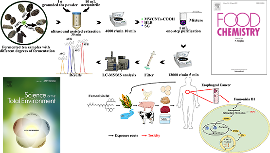 營養(yǎng)與健康所武愛波研究組在發(fā)酵茶黃曲霉毒素精準(zhǔn)檢測與伏馬菌素致毒解毒新機(jī)制方面取得進(jìn)展