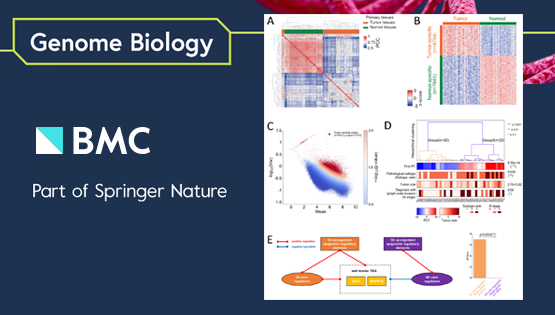 營養(yǎng)與健康所邵振研究組合作建立基于表觀遺傳異質(zhì)性的肺腺癌病人分型模型