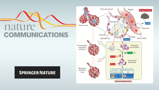 營(yíng)養(yǎng)與健康所詹麗杏研究組發(fā)現(xiàn)乳腺癌中Lin28B對(duì)肺促轉(zhuǎn)移“龕”的免疫抑制新機(jī)制