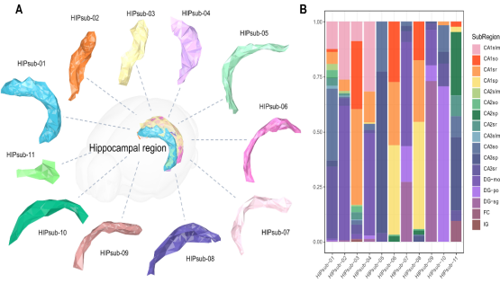 營養(yǎng)與健康所生物醫(yī)學(xué)大數(shù)據(jù)中心研發(fā)空間轉(zhuǎn)錄組數(shù)據(jù)多模態(tài)可視化工具
