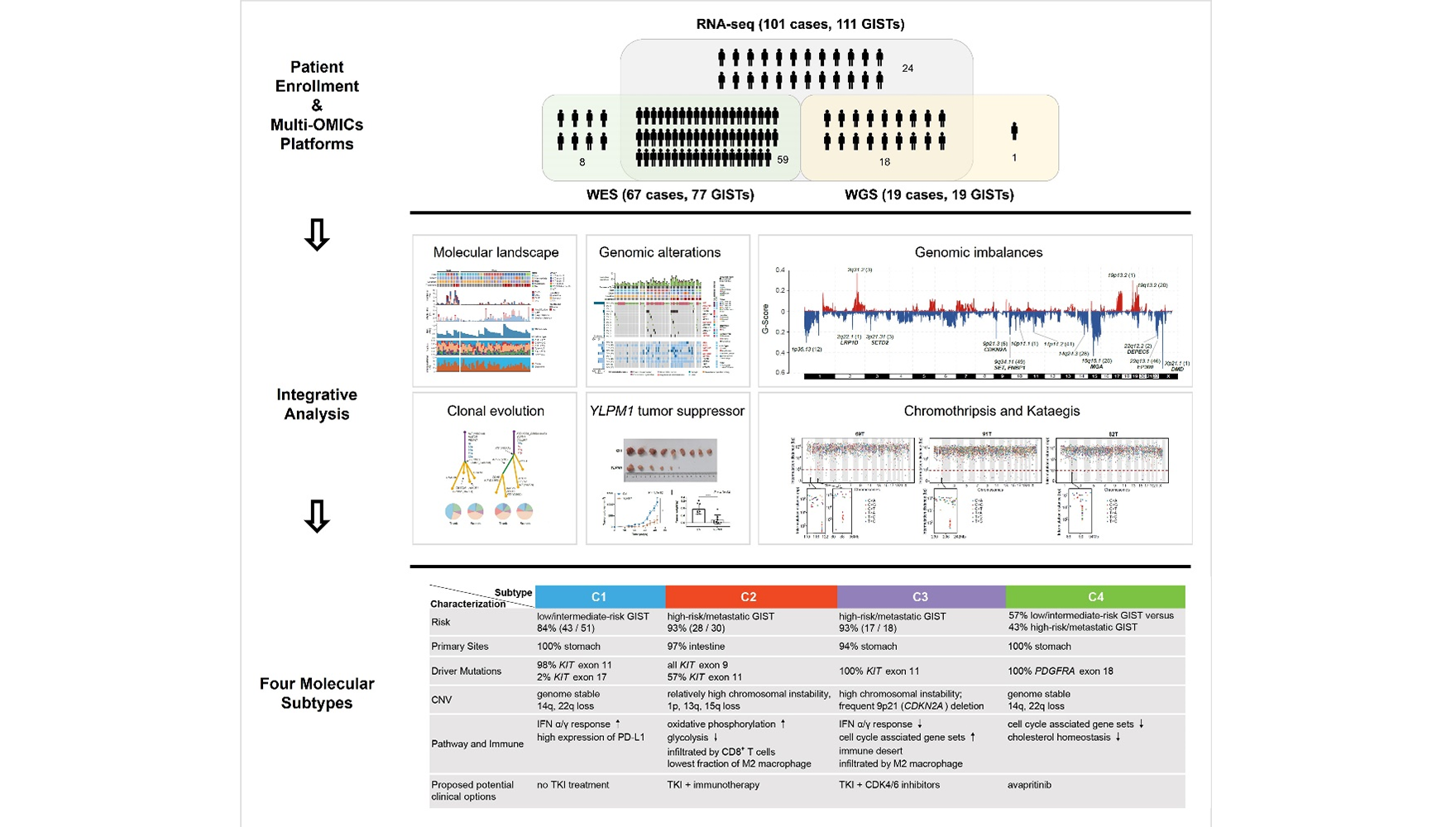 王躍祥研究組合作繪制胃腸間質(zhì)瘤基因組和轉(zhuǎn)錄組圖譜并提出新的分子分型