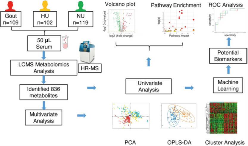 高分辨質(zhì)譜系統(tǒng)與分析測試平臺質(zhì)譜板塊對外服務(wù)內(nèi)容簡介