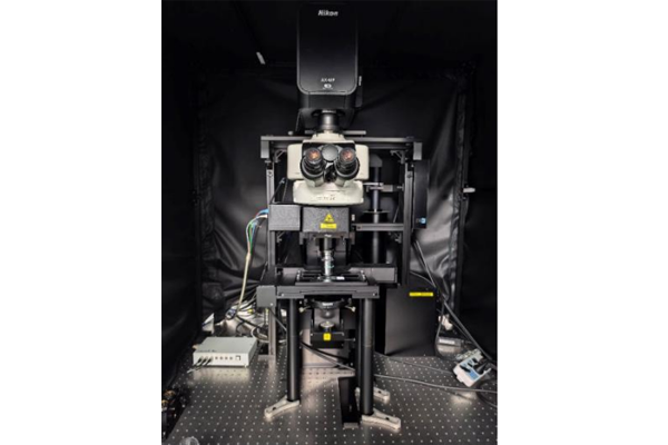 快速超分辨雙光子共聚焦顯微鏡（ 正置）