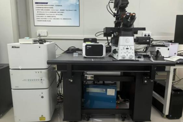 快速超分辨共聚焦顯微鏡（倒置）